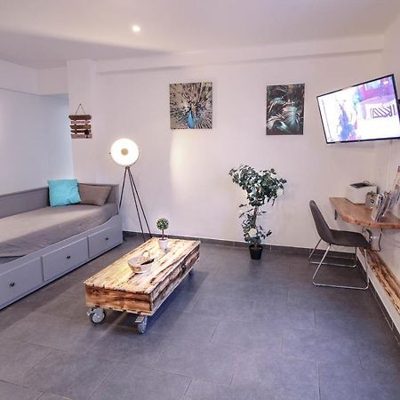 Appartement Calme Et Spacieux, Cite Et Ville A Pied, Wifi, 2 Chambres, 3 Lits Каркассон Экстерьер фото